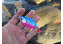 Daiwa Salmon Rocket Dot pink