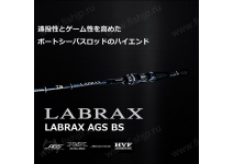 Daiwa 22 LABRAX  AGS BS 64MS・Q