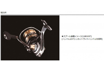 Daiwa SLPW EX LT Spool 2500D