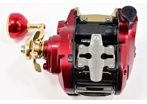 Daiwa 21 Seaborg 600MJ