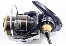 Daiwa 19 Ballistic FWLT 1000S-P