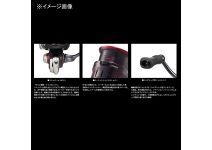 Daiwa 23 GEKKABIJIN LT2000S-H
