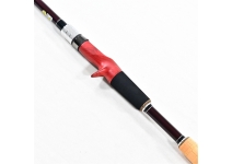 Fishman Brist Compact BC4 6.10XH