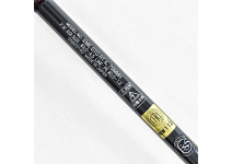 Daiwa 22 Emeraldas Stoist RT IL 79MMH