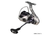 Daiwa 25 Caldia LT3000S-CXH