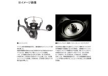 Daiwa 24 Luvias LT2000S-H