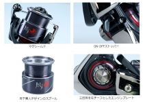 Daiwa 20 GEKKABIJIN X LT1000S-P