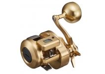 Daiwa 21 Basara IC 250PL