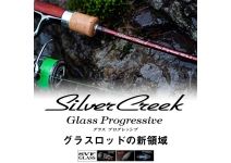 Daiwa 22 Silver Creek Glass Progressive 48L-G