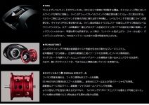 Daiwa 23 SS AIR TW 8.5R