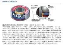 Daiwa 19 Morethan PE TW 1000SH-TW