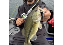 Abu Garcia 25 Zoom Suecia ZSUC-49UL
