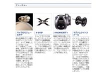 Shimano 21 Scorpion DC