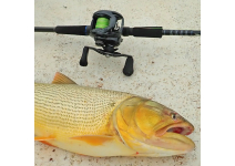 Fenwick WCV58SUL-5J "Micro Precision"