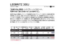 Daiwa  23 Leobritz 300J