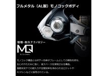 Daiwa 22 Caldia SW 8000-H