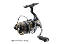 Daiwa 24 Airity SF2000SS-H