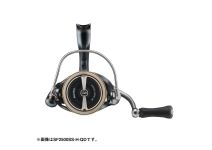 Daiwa 24 Airity SF2000SS-H