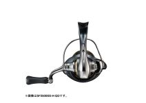 Daiwa 24 Airity SF2000SS-H