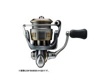 Daiwa 24 Airity SF2000SS-H