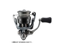 Daiwa 24 Airity ST SF2000SS-P