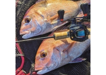 Okuma Multi Striker V MSV-101HA