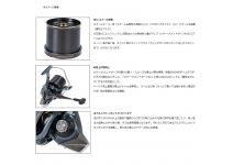 Daiwa 21 SURF BASIA 45 QD5