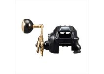 Daiwa 23 Seaborg G200J