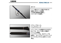 Daiwa 25 Saltiga C Expedition 82-10