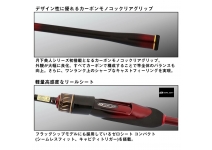 Daiwa 25  Gekkabijin MX 710ML-T・J