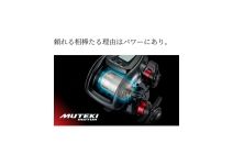 Shimano 24 Plays 3000