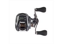 Daiwa 20  TIERRA IC 100XHL