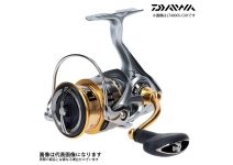 Daiwa Freams 19  LT 5000S-CXH