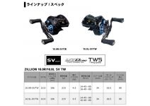 Daiwa 19 Zillion 10.0L-SV TW