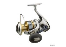 Shimano 13 Biomaster SW 10000HG
