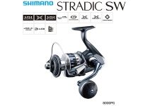 Shimano 20 Stradic SW 8000PG