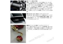 Daiwa 20 Seaborg 300MJL