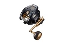 Daiwa 21 Seaborg G300J