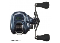 Daiwa 24 TIERRA AIR IC 100XH