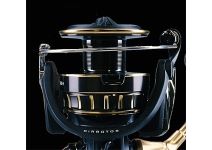 Daiwa 23 BG SW