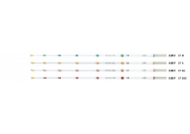 Daiwa Crystia Wakasagi Hikyaku Tone