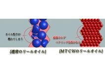 Масло MTCW Oil SW-01 Medium