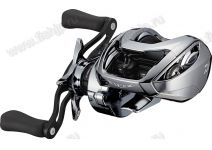 Daiwa 20  STEEZ LTD SV TW 1000HL