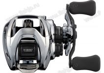 Daiwa 20  STEEZ LTD SV TW 1000HL