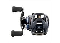 Daiwa 21  STEEZ A TW HLC 7.1R