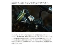 Shimano 24 Stradic SW 6000HG