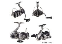 Daiwa 25 Caldia LT3000S-CXH