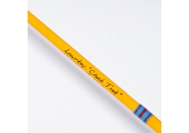 Fenwick Lowkey LK49SXUL-2J "Chubtrek"