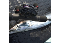 Okuma Multi Striker V MSV-101HA