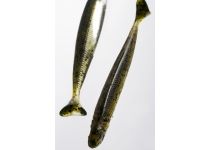 Fish Arrow Flash-J Shad 4"